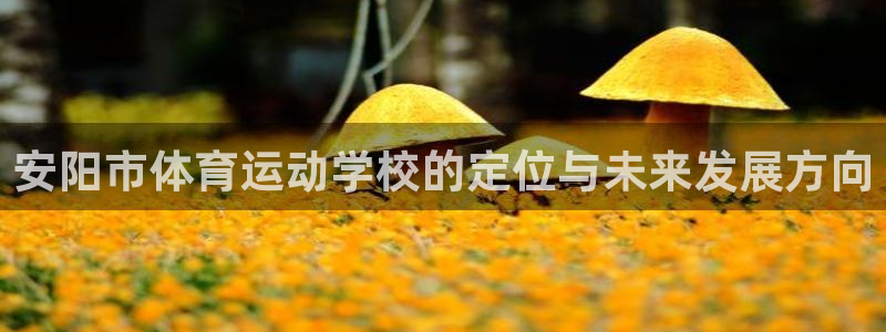 98体育官网