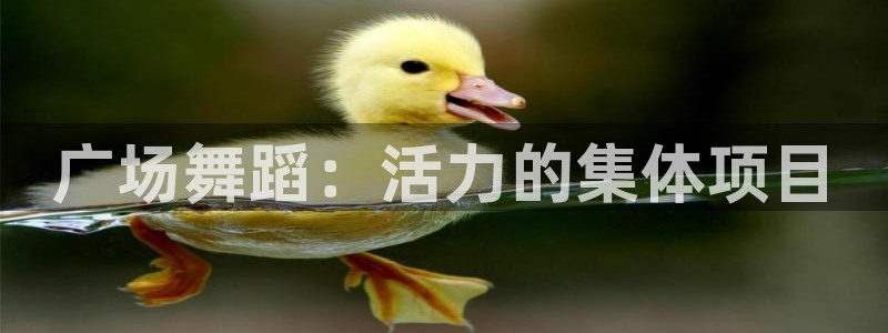 98体育篮球直播