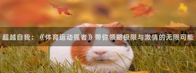 98体育app官网下载