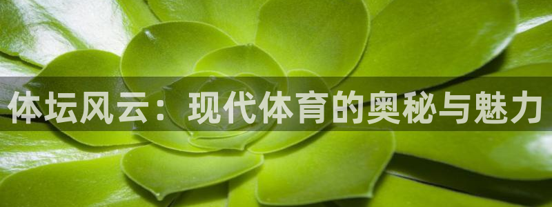 98体育直播免费的平台
