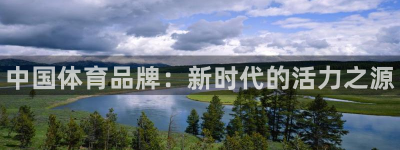 98体育篮球直播