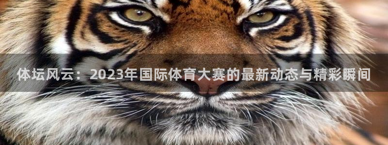 98体育录像回放微博