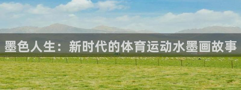 98体育回放