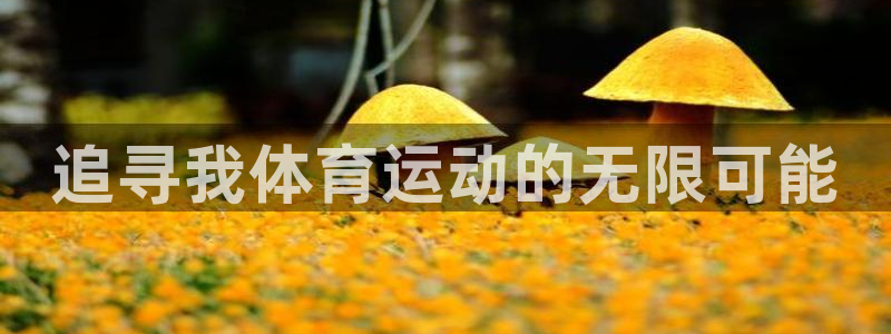 98体育免费直播：追寻我体育运动的无限可能